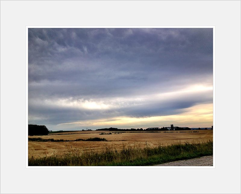 Country Field Morning.jpg