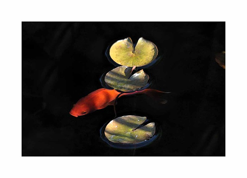 Gold Fish  Three Lily Pads Painting.jpg