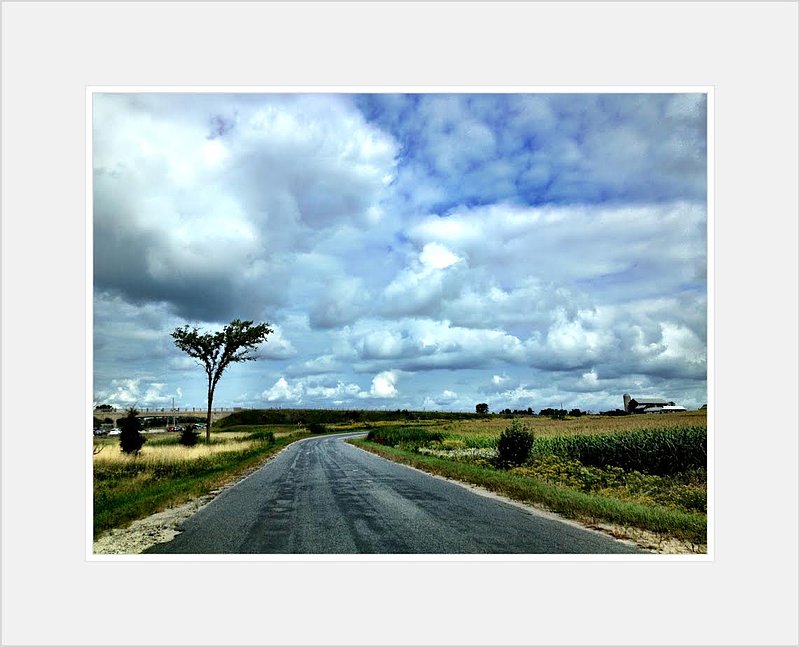 One Tree and Road.jpg