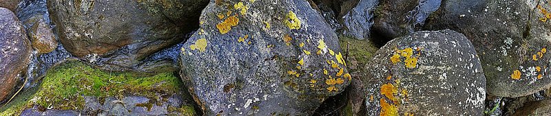 Rocks On Shoreline Pano.jpg