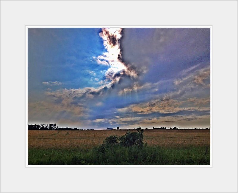 Sun Burst.jpg