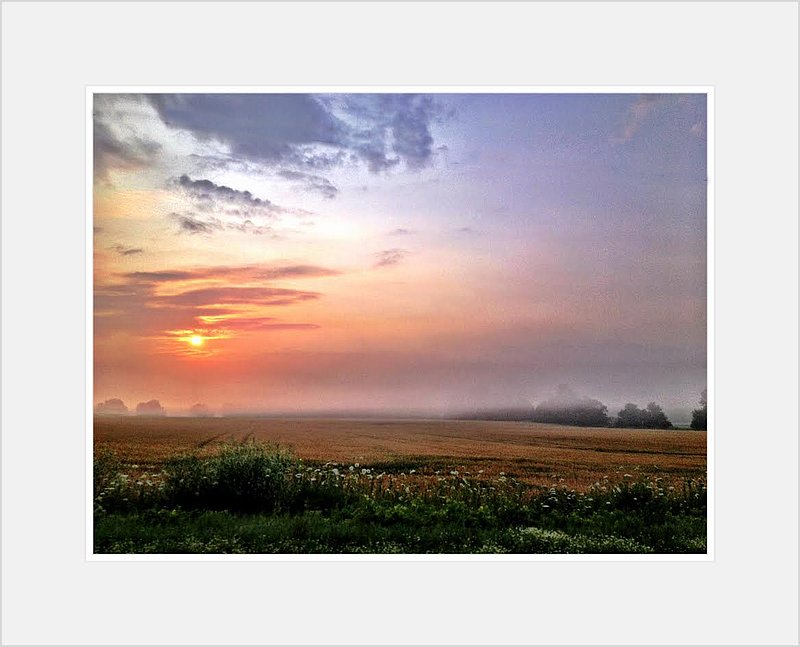 Sunrise Field.jpg