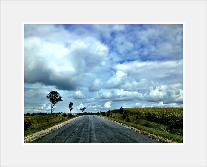 Three Trees and Road.jpg