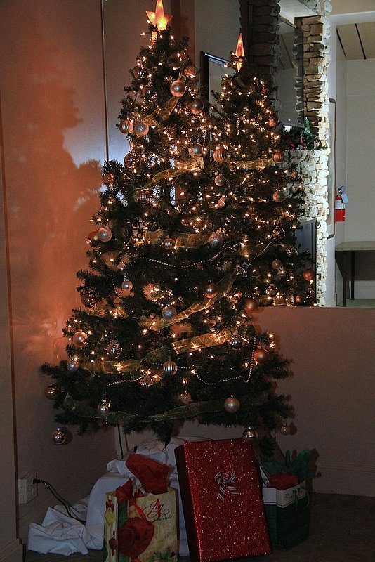 IMG_4350L.jpg
