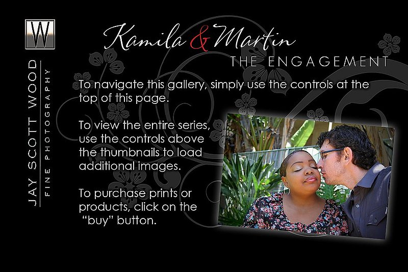 Kamila  Martin Engagement 2.jpg
