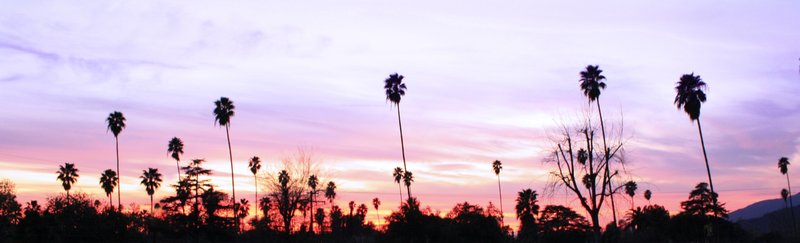 Sunset Banner.jpg