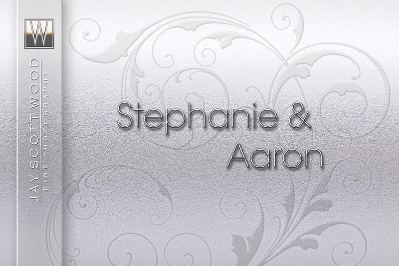 Weddings Stephanie and Aaron.jpg