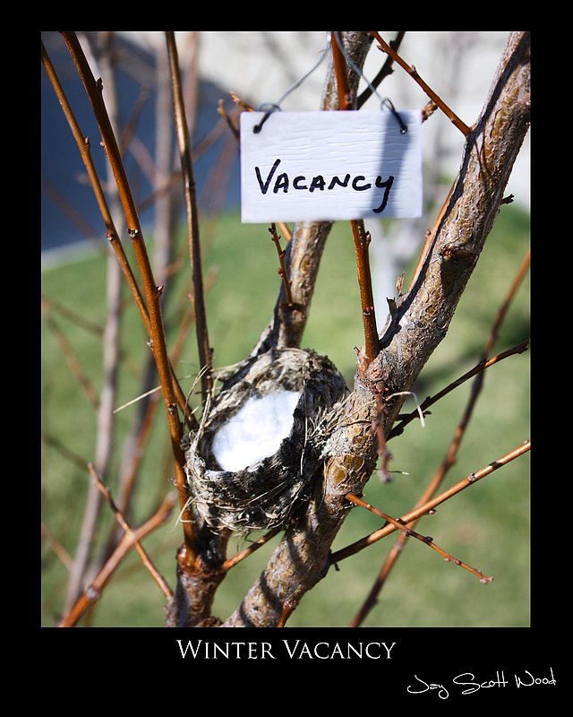 Winter Vacancy.jpg