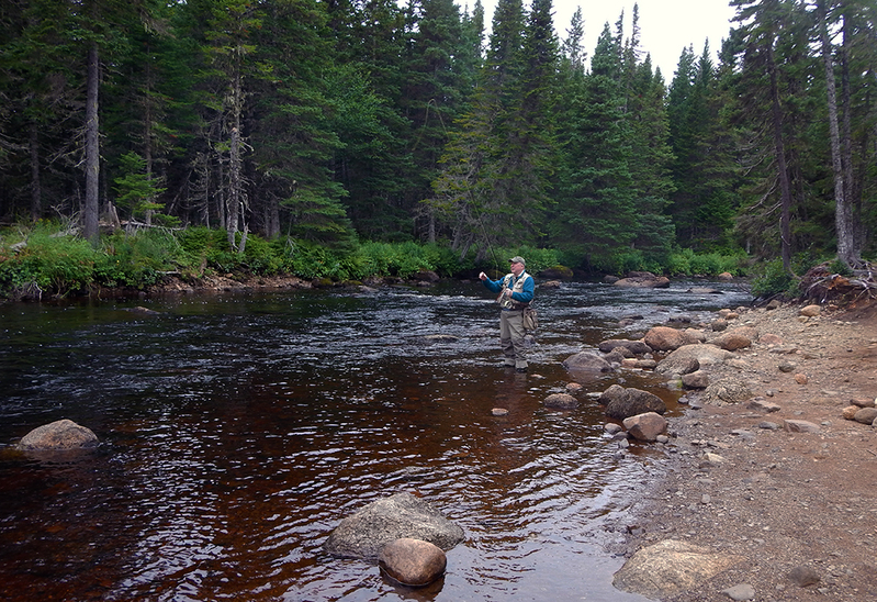2013 NL 014-2(1).jpg