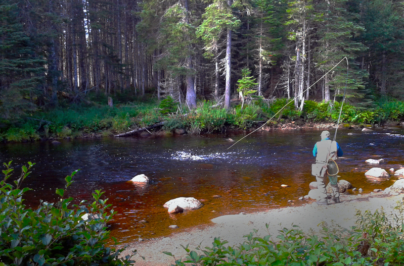 2013 NL salmon trip (2)(1).jpg