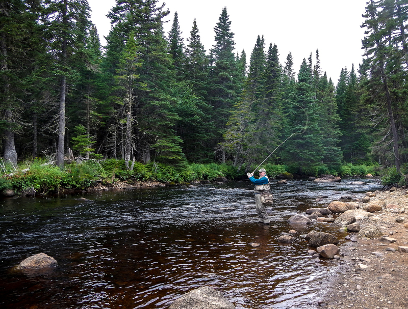 2013 NL salmon trip 013(1).jpg
