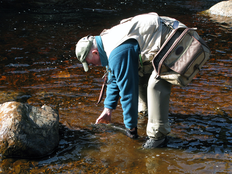 2013 NL salmon trip IMG_8149(1).jpg