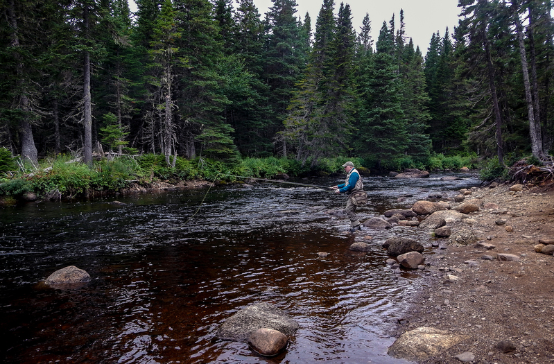 2013 NL salmon trrip 012(1).jpg