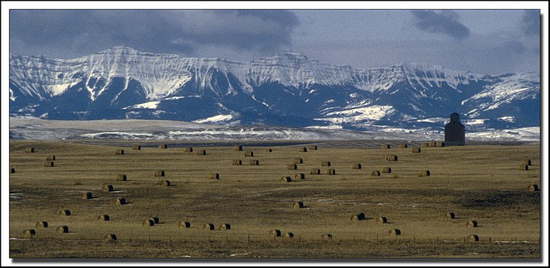 Alberta-31-02-05.jpg