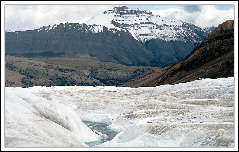 BanffNP-04-23-20.jpg