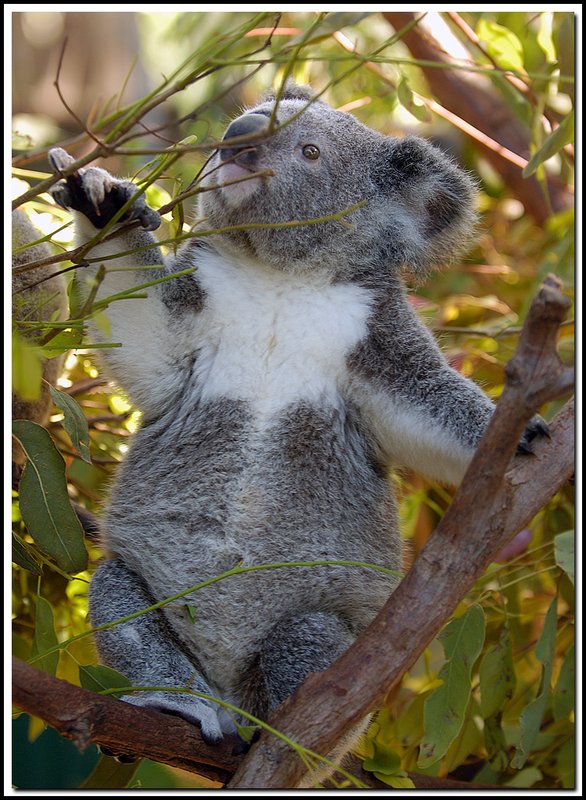 Brisbane-DSC_3153.jpg