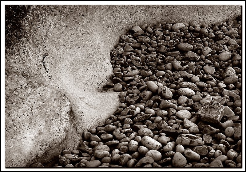 BruceNP-29-29-13-bw.jpg