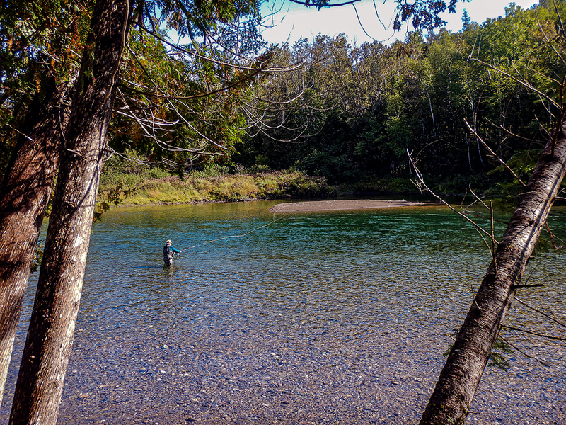 DSCN2870.jpg