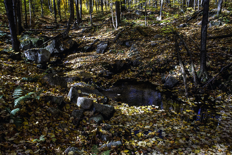 Gatineau Glen 36-34-14 .jpg