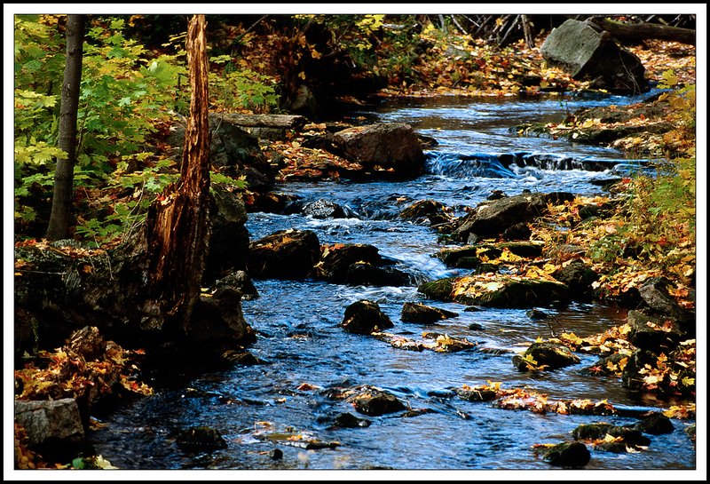 Gatineau Park-33-23-01.jpg