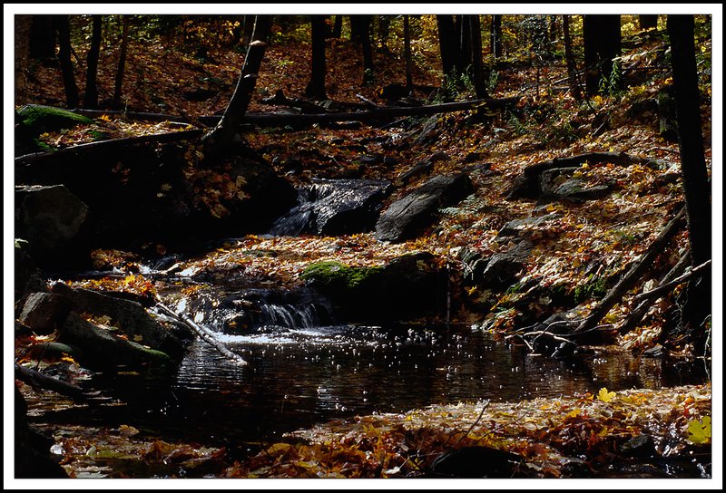 Gatineau Park-33-30-03.jpg