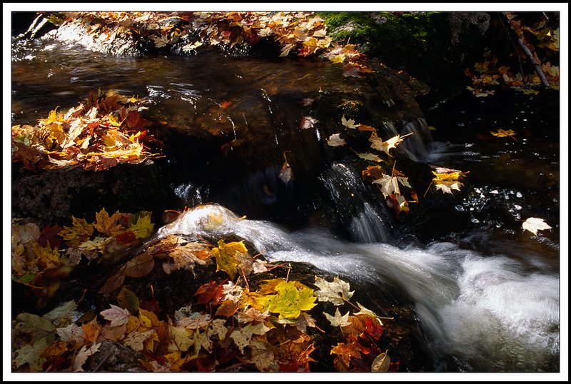 Gatineau Park-33-32-01.jpg