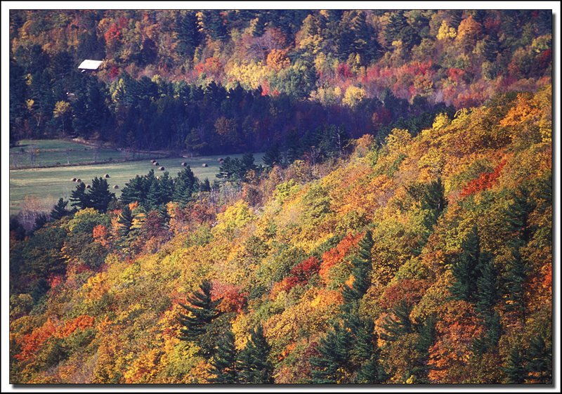 Gatineau Park-36-35-13.jpg