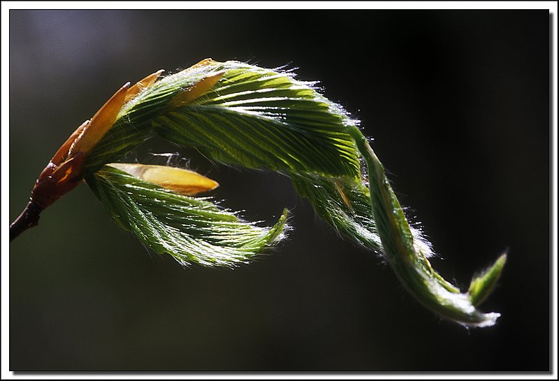 Gatineau Park-43-23-18.jpg