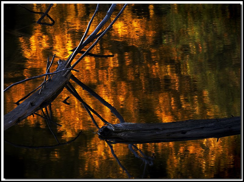 Gatineau Park-DSC_2893.jpg