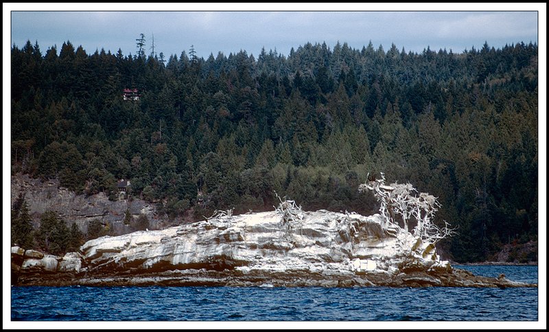 Gulf  Islands-19-05-19.jpg