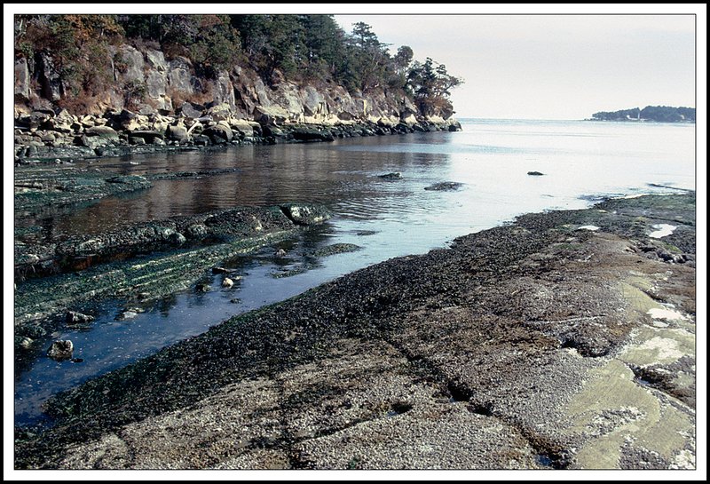 Gulf  Islands-19-07-18.jpg