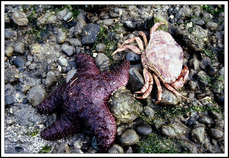 Gulf Islands-19-07-12.jpg