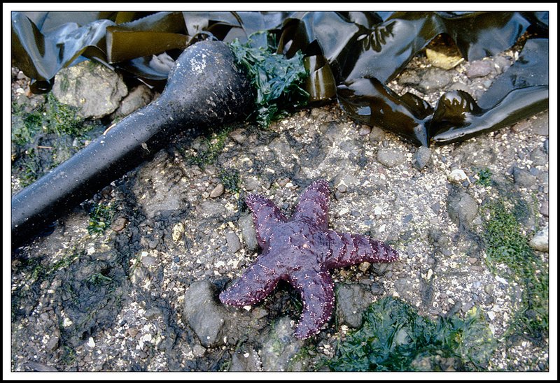 Gulf Islands-19-07-14.jpg