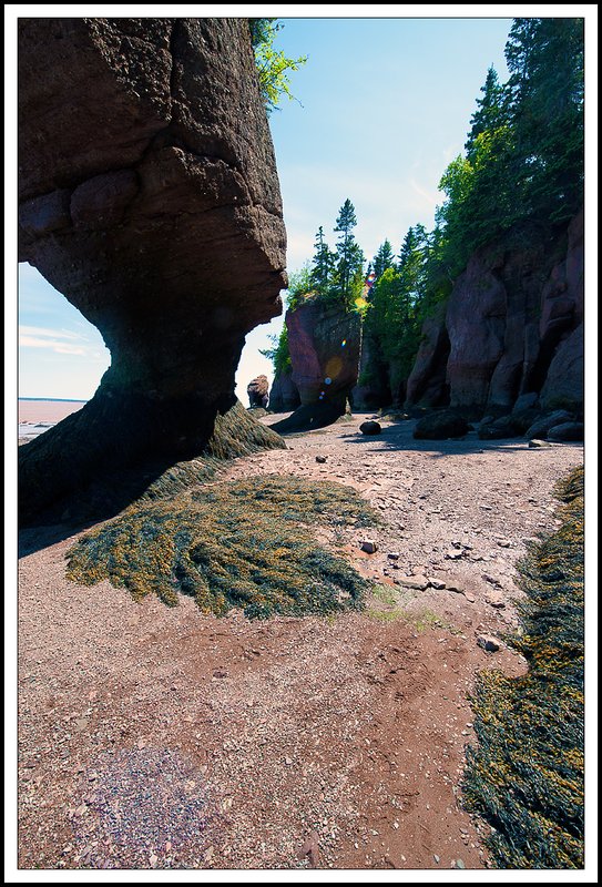 Hopewell RocksPP_DSC3021.jpg