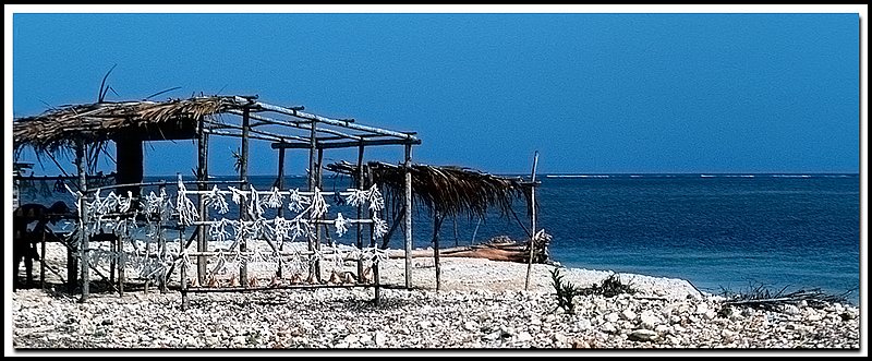 Jamaica-08-04-18.jpg