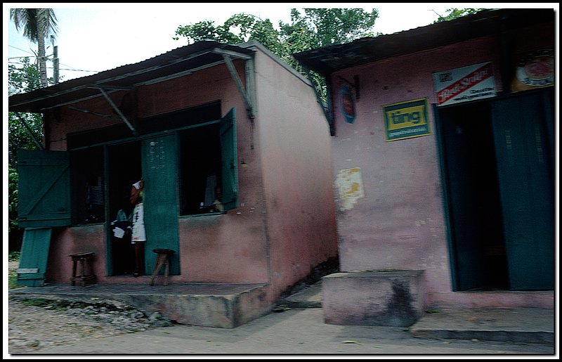 Jamaica-08-07-19.jpg