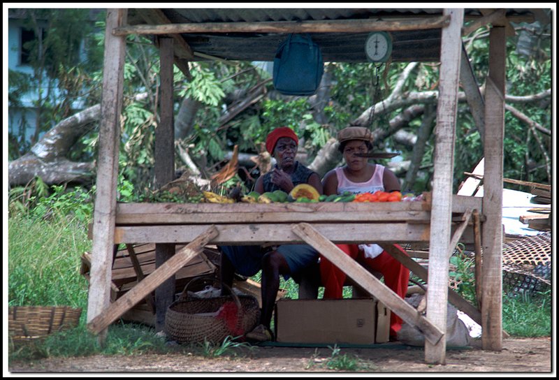 Jamaica-08-09-14.jpg