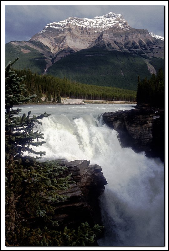 JasperNP-04-23-03.jpg