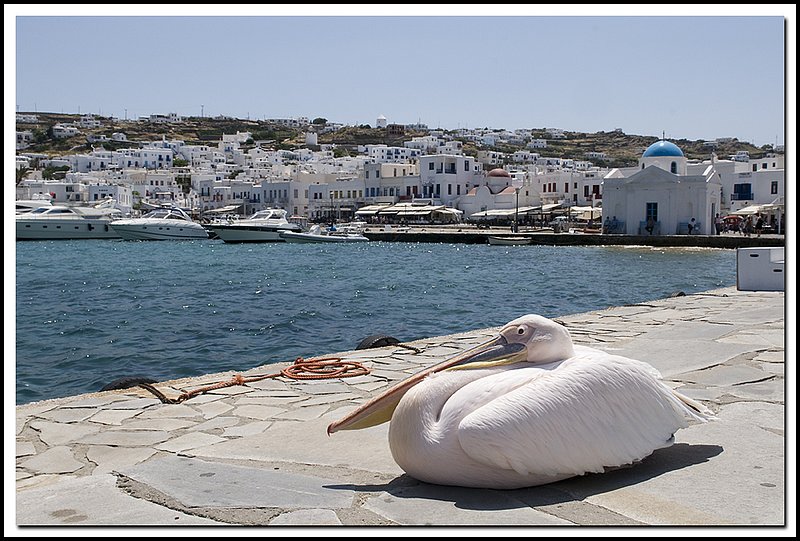 Mykonos-DSC_0826.jpg
