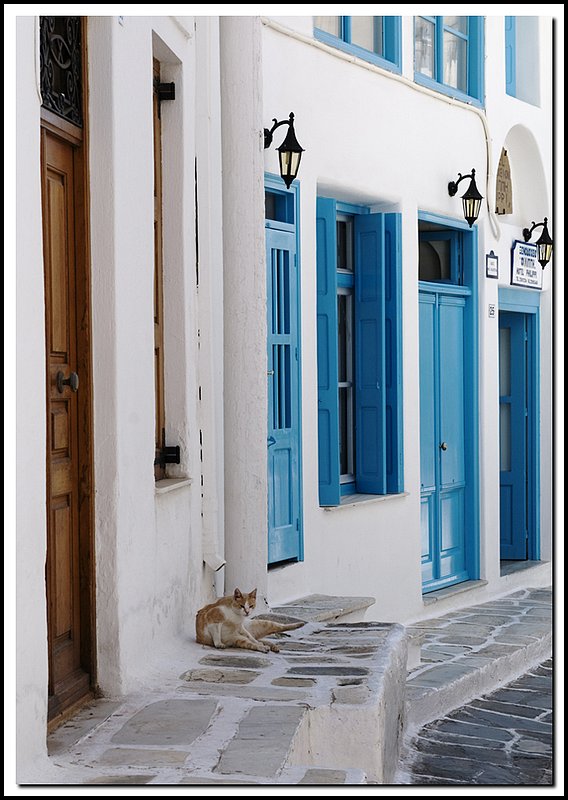 Mykonos-DSC_0884.jpg