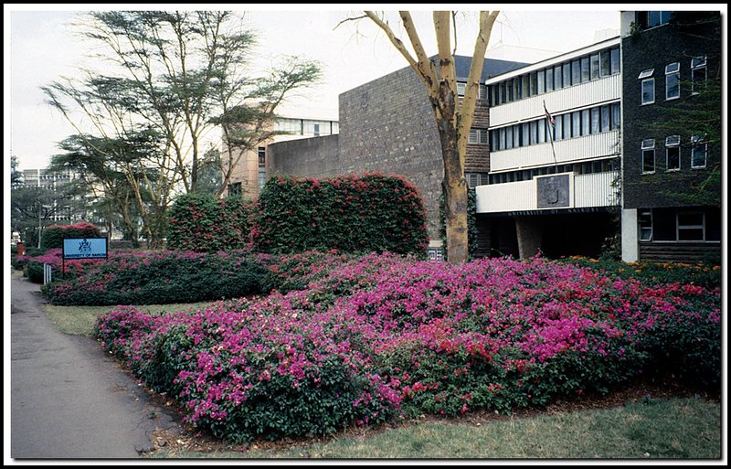 Nairobi-21-26-13.jpg