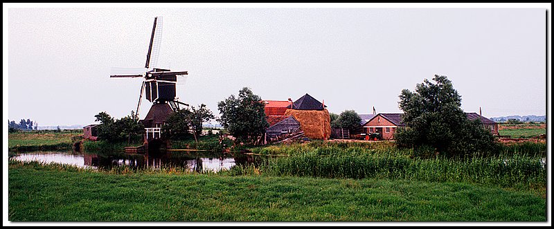 Netherlands-01-27-13.jpg