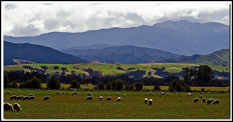 New Zealand-DSC_2854.jpg