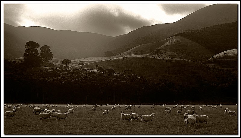 New Zealand-DSC_2886-bw.jpg