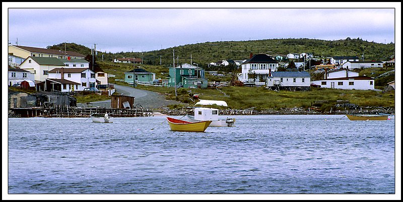 Newfoundland-17-34-09.jpg