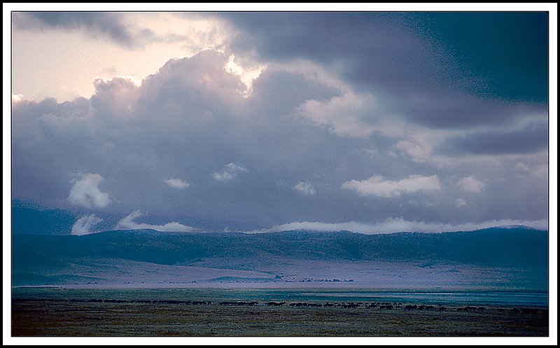 Ngorongoro-20-11-19.jpg