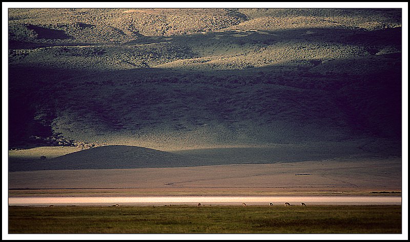 Ngorongoro-20-18-14.jpg