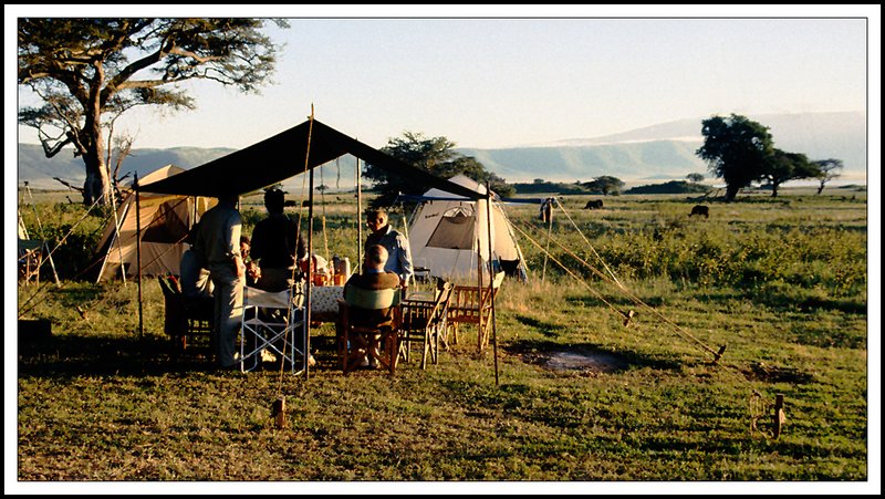 Ngorongoro-20-20-03.jpg