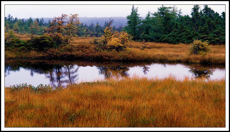 Nova Scotia-45-17-20.jpg
