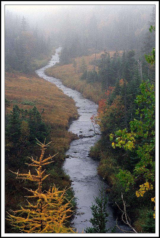 Nova Scotia-45-18-19.jpg